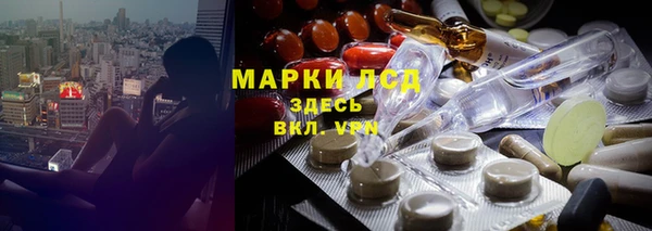 индика Нея