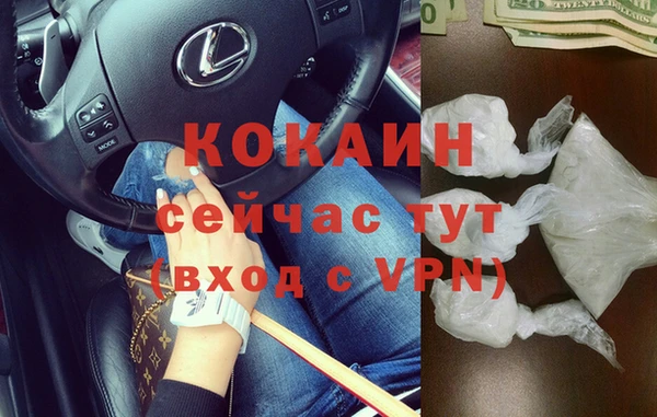 индика Нея