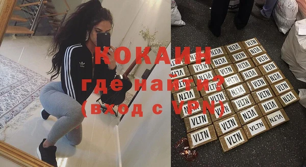 индика Нея
