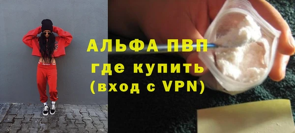 индика Нея