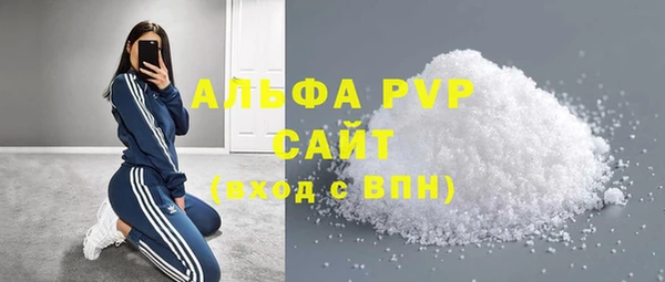 индика Нея