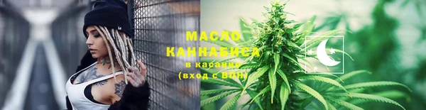 индика Нея