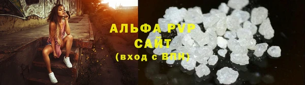 индика Нея