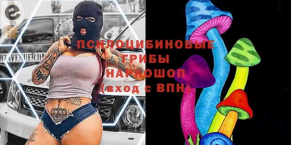 индика Нея