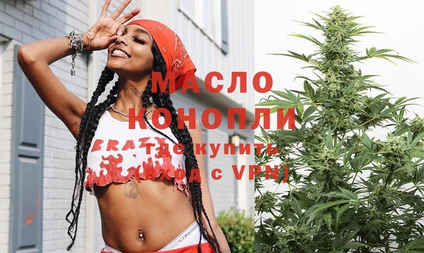 индика Нея