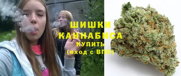 индика Нея