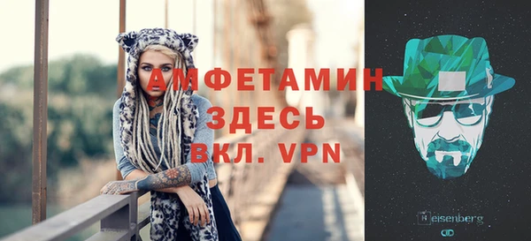 индика Нея